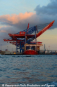 Zhen Hua 26 080813-60.jpg