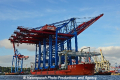 Zhen Hua 26 080813-15.jpg