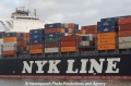 NYK-Logo 13107-3.jpg