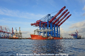 Zhen Hua 26 080813-21.jpg