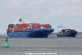 Con+Feeder (SW-170707-07).jpg