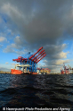 Zhen Hua 26 080813-36.jpg