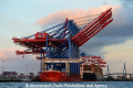 Zhen Hua 26 080813-59.jpg