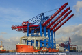 Zhen Hua 26 080813-22.jpg