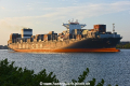 CMA CGM Argentina 100819-11.jpg