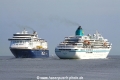 Color Magic + Amadea (JS-150612-01).jpg