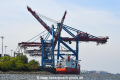 Zhen Hua 26 080520-04.jpg