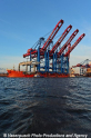 Zhen Hua 26 080813-52.jpg