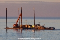 Orca TJ-051216-010.jpg