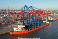 Zhen Hua 26 050520-02.jpg