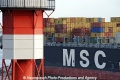 MSC-Logo+Leuchtturm 30308.jpg