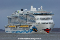 Aidacosma NT-250222-01.jpg
