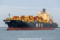 MSC Yuvika V SH-101225-01.jpg