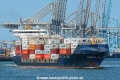 Mastery D (MB-020719-1).jpg