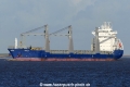 Kingcup (KK-170415-0).jpg