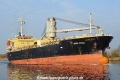 Hosei Pearl (LW-230326-03).jpg