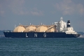 Mubaraz (MS-201007-11).jpg