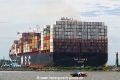 MSC Yashi B RV-150126-02.jpg