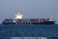 Hanjin Indigo (MS-161013-07).jpg
