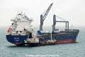 Kingfisher HK-300812.jpg