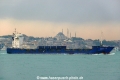 Medazov Julia (OK-041013-0).jpg