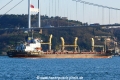 Laila Queen (OK-050214-3).jpg
