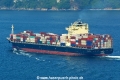 Hazel 1 HK-070117.jpg