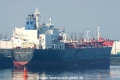 Overseas Alcesmar (KB-D071114-01).jpg