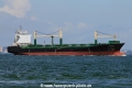Lobivia (MS-090814-07).jpg
