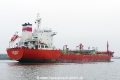 Lady Violet (OK-130316-3).jpg