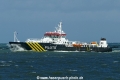 Procyon (MB-300326-6).jpg