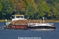 Pollux SH-221025-01.jpg