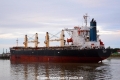 Hector (MB-140715-23).jpg