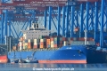 HS Caribe (KB-D210516-01).jpg