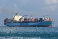 Maersk Cardiff OS-1019.jpg
