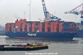 Montevideo Express 290123-12.jpg