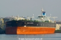 Maran Canopus (JS-060511-01).jpg
