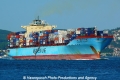 Maersk Kelso (OK-160711-0).jpg