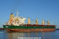 Harlequin (MB-061214-7).jpg