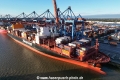 Montevideo Express (KB-D221023-02).jpg