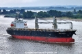 Hosei Sakura 220725-2.jpg