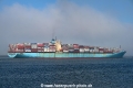 Maersk Karlskrona OS-240623-13.jpg