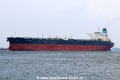 Sea Leopard (MS-040825-11).jpg