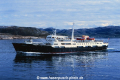 Lofoten (2).jpg