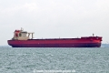 Sea Shanghai OS-151125-1.jpg