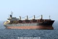 Ikan Altamira OS-180311-03.jpg