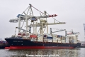 Maersk New Delhi (KB-D291024-01).jpg