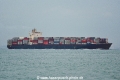 Jackson Bay OS-071019.jpg