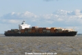 Itea (KK-230416-1).jpg