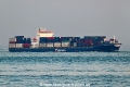 Interasia Transform OS-221024-1.jpg